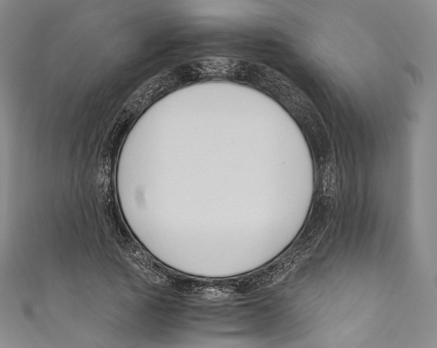 X0000110690737200907101148