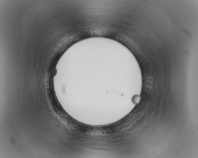 X0000110690738200907101148