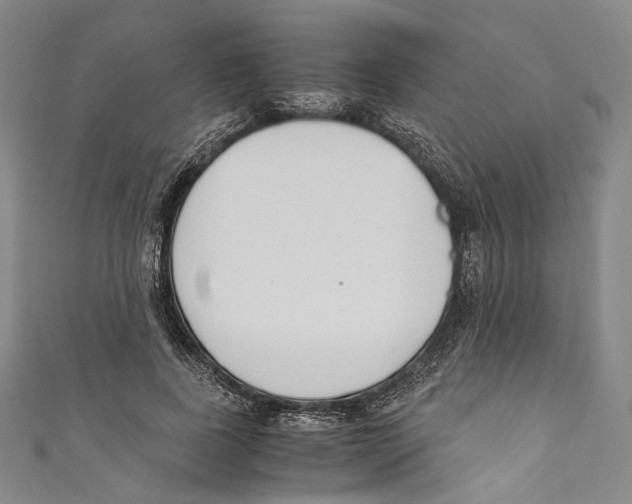 X0000110690739200907101148