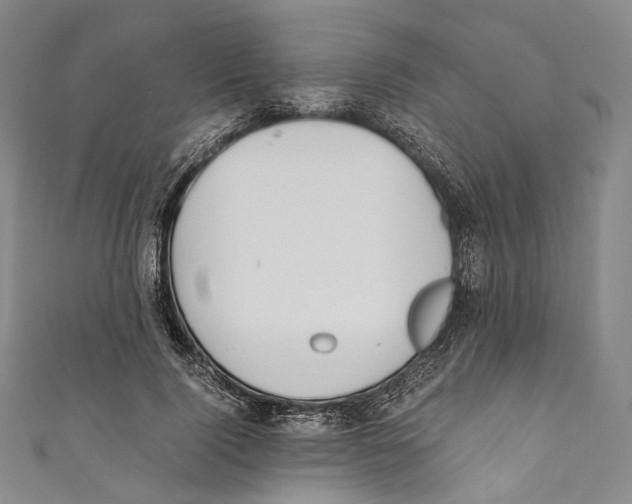 X0000110690740200907101148