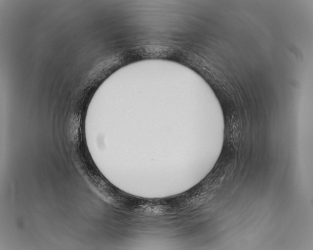 X0000110690742200907101148