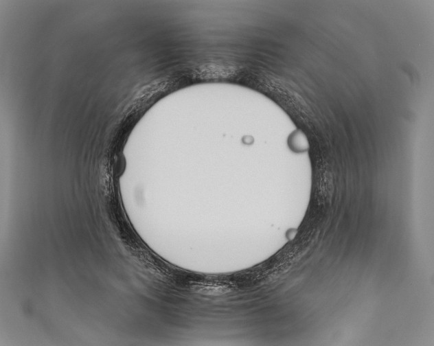 X0000110690743200907101148