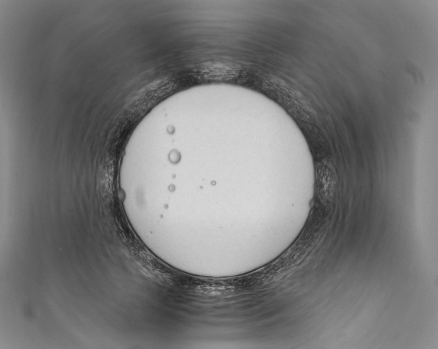 X0000110690745200907101148