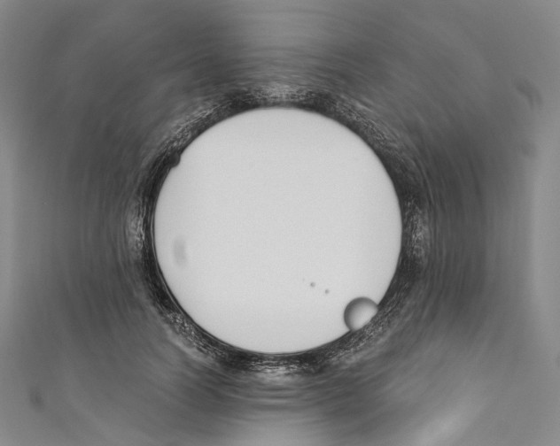 X0000110690746200907101148