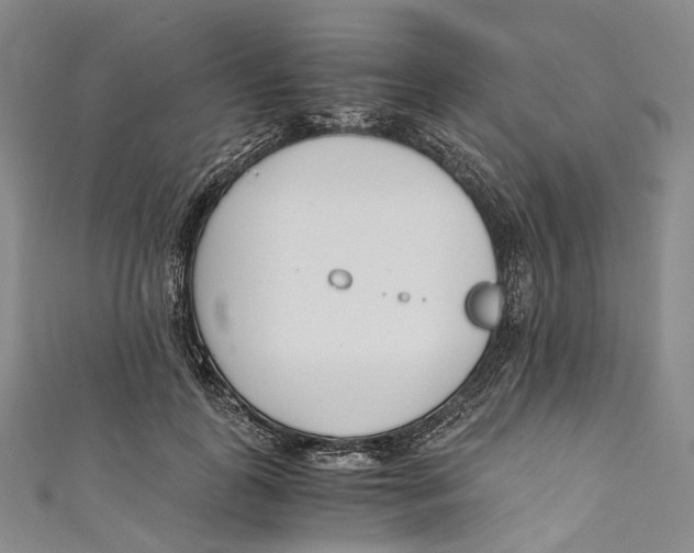 X0000110690747200907101148