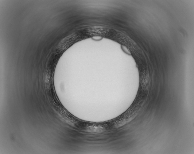 X0000110690749200907101148