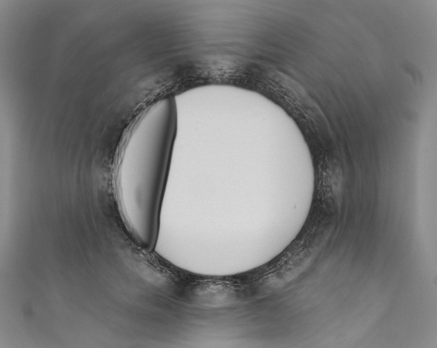 X0000110690750200907101148