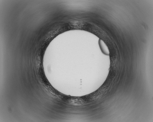 X0000110690752200907101148