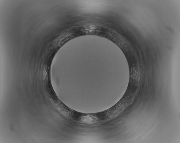 X0000110690754200907101148