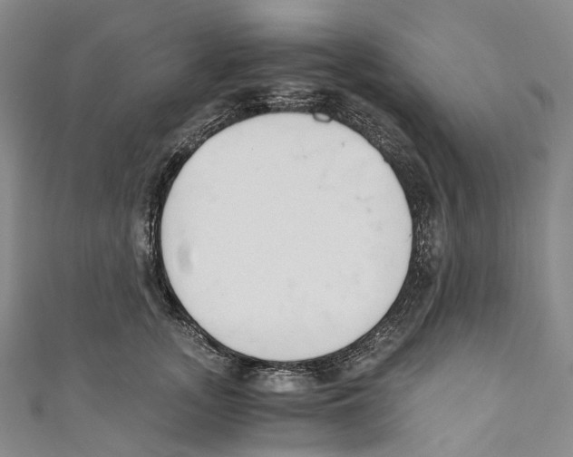 X0000110690755200907101148