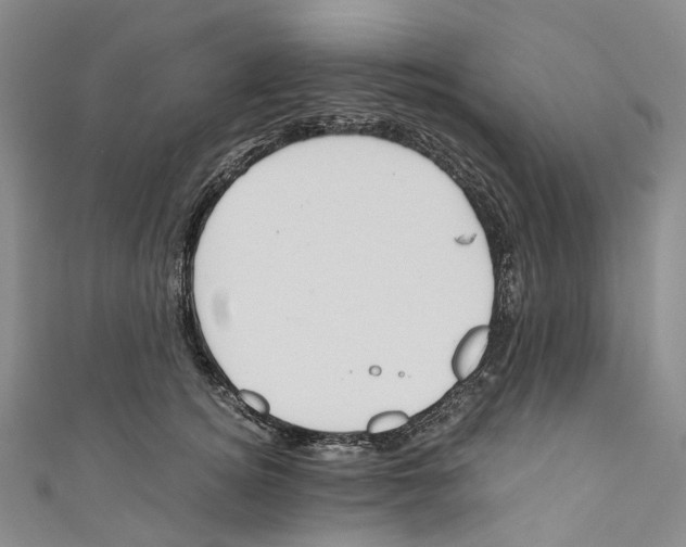 X0000110690756200907101148