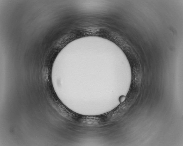 X0000110690758200907101148