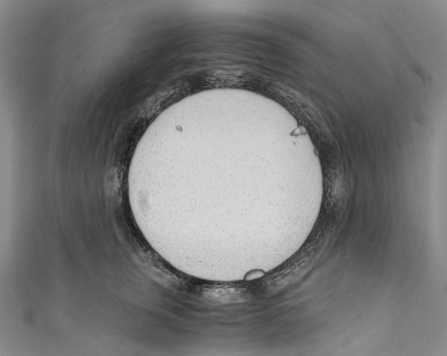 X0000110690759200907101148