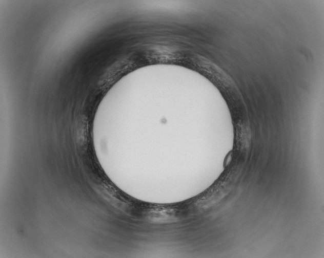 X0000110690760200907101148