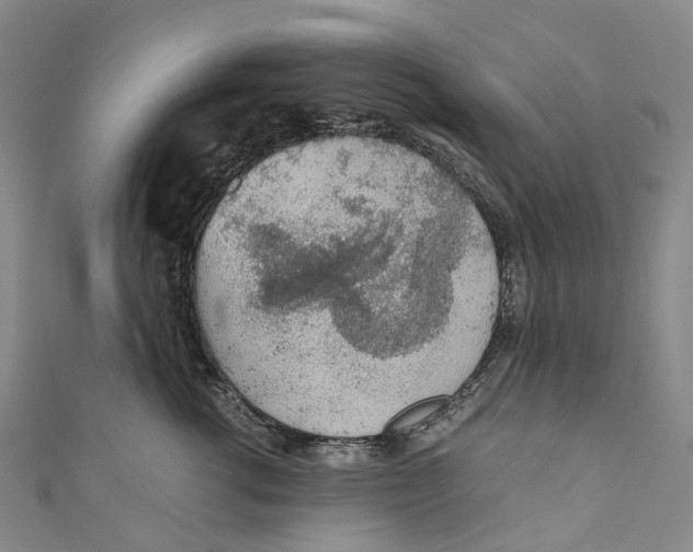 X0000110690762200907101148