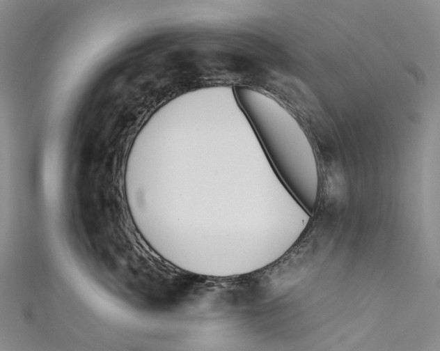 X0000110690764200907101148