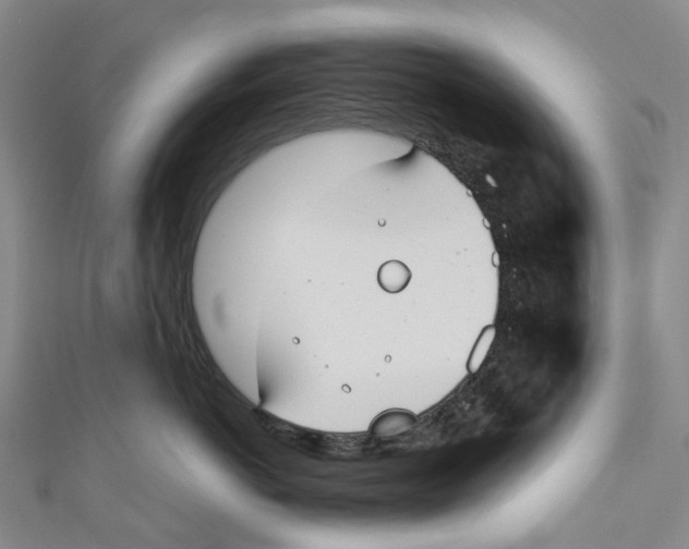 X0000110690766200907101148