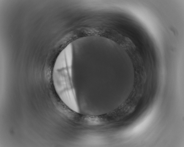 X0000110690767200907101148