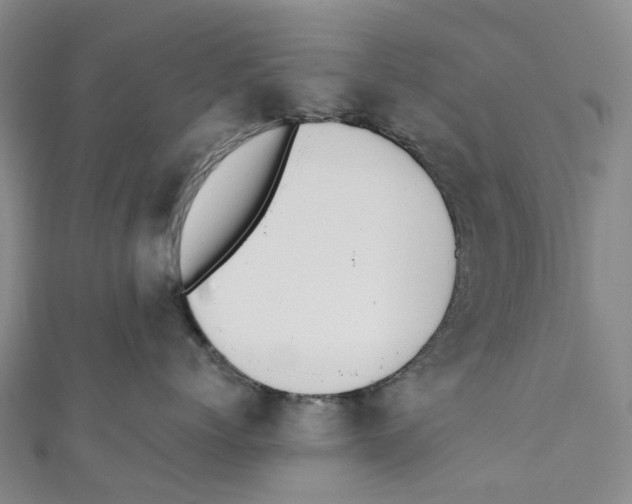 X0000110690768200907101148