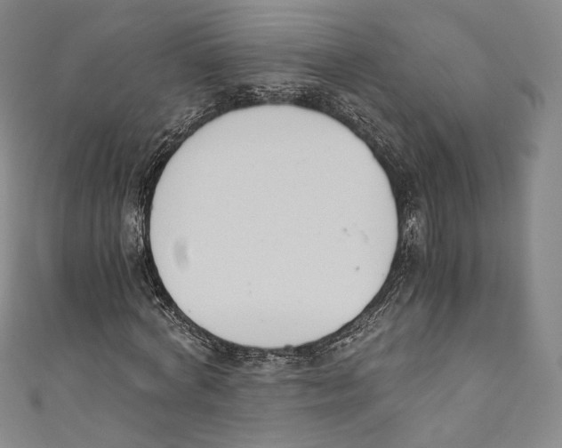 X0000110690772200907101148