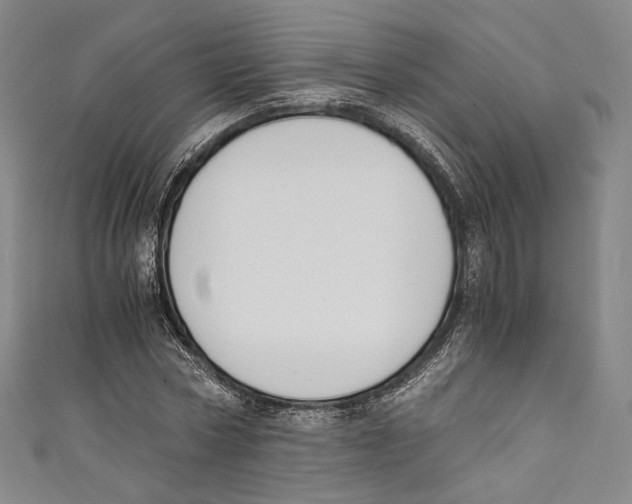 X0000110690778200907101148