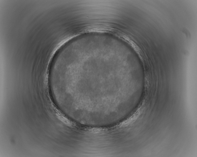 X0000110690779200907101148