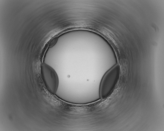 X0000110690781200907101148