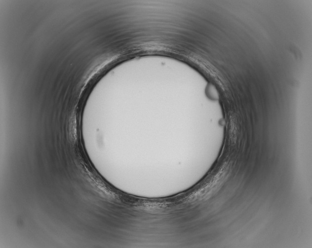 X0000110690782200907101148