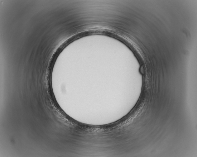 X0000110690783200907101148