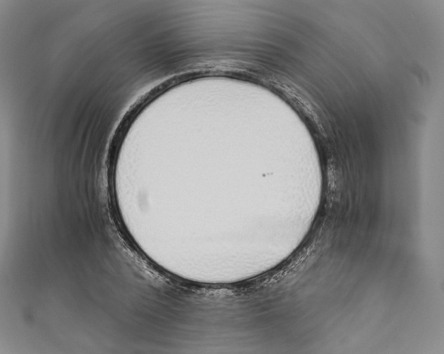 X0000110690784200907101148