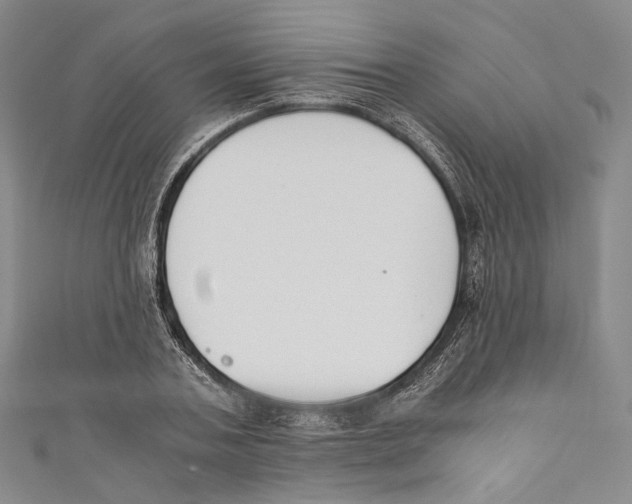 X0000110690787200907101147