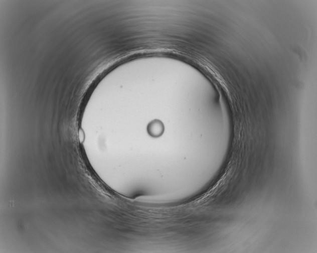 X0000110690789200907101147