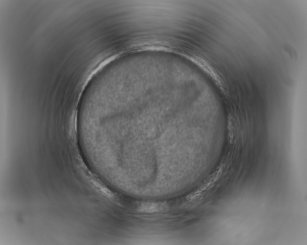 X0000110690790200907101147