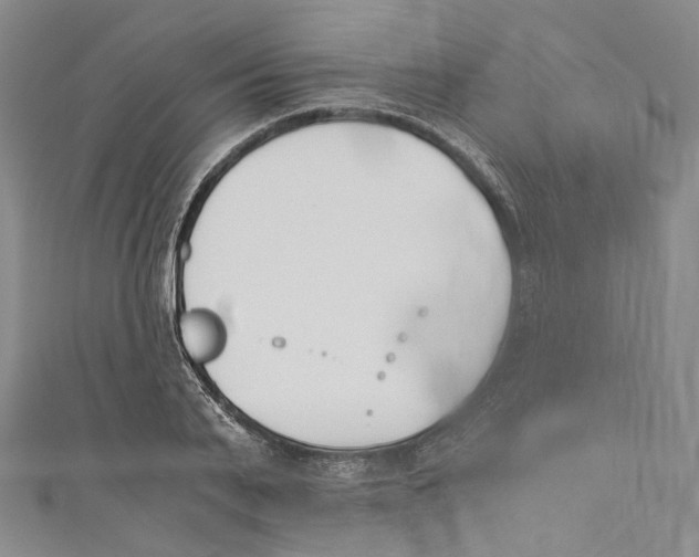 X0000110690791200907101147