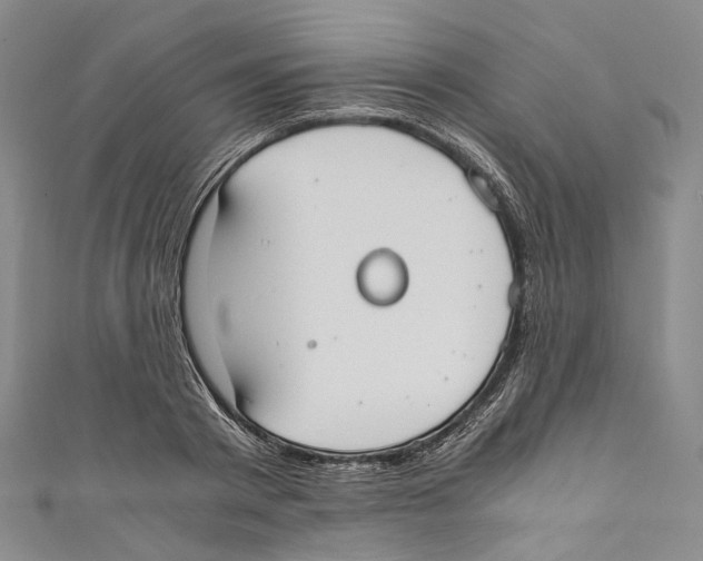 X0000110690793200907101147