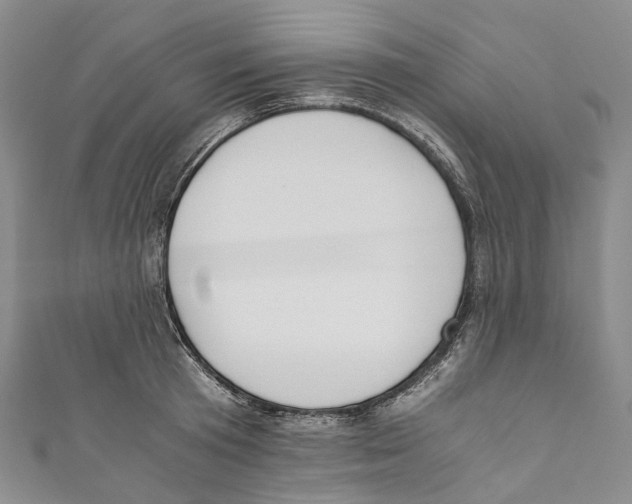 X0000110690801200907101147