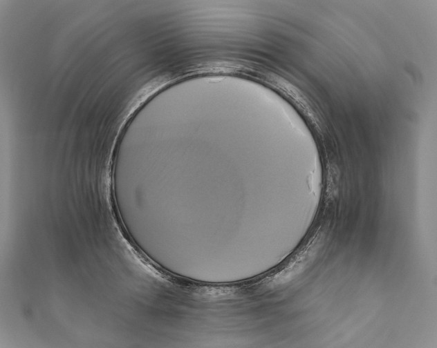 X0000110690802200907101147