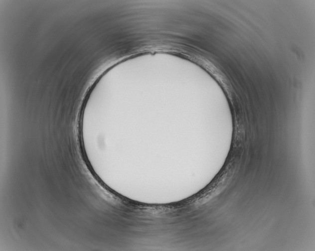 X0000110690803200907101147