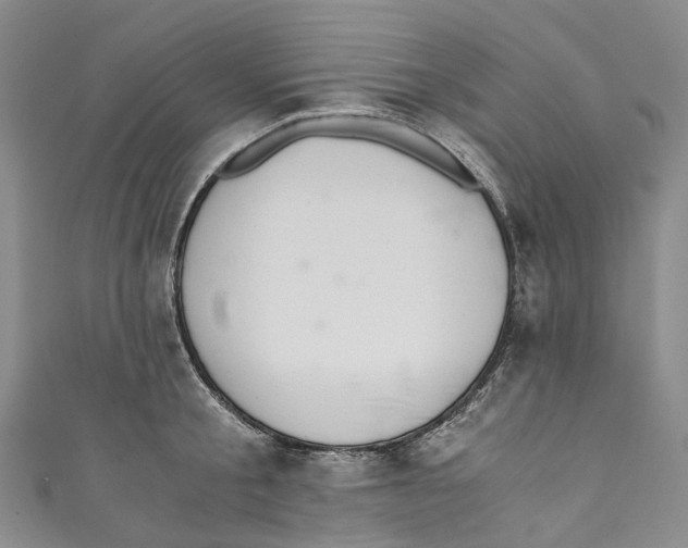 X0000110690805200907101147