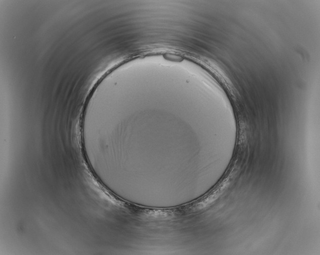 X0000110690806200907101147