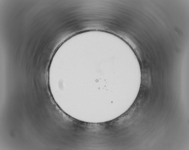 X0000110690807200907101147