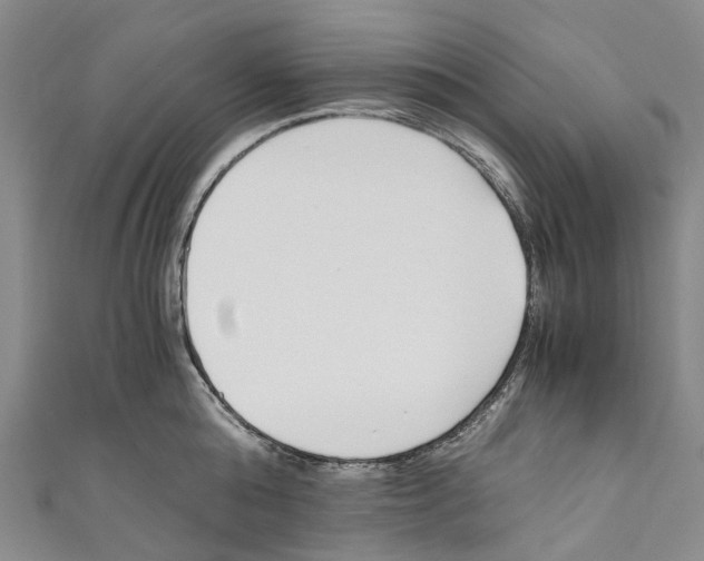 X0000110690808200907101147