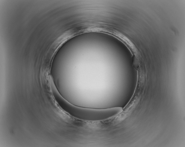 X0000110690809200907101147