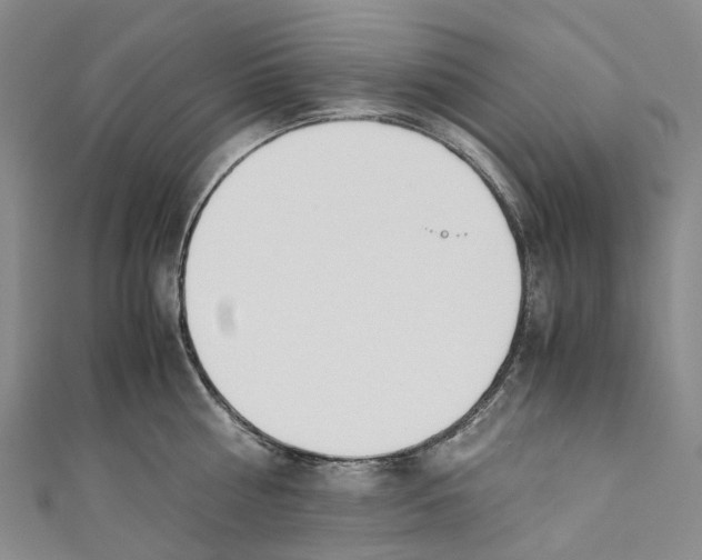 X0000110690810200907101147