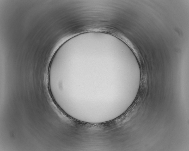 X0000110690811200907101147