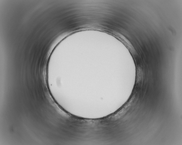 X0000110690812200907101147