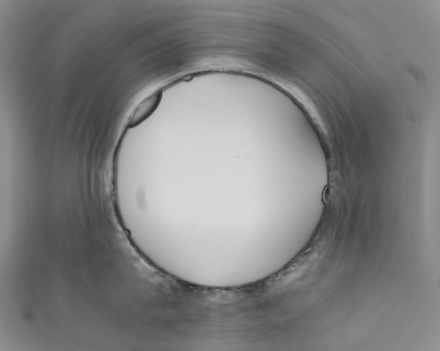 X0000110690815200907101147