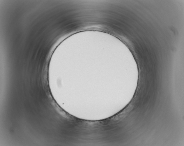 X0000110690816200907101147