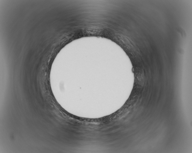 X0000110690817200907101146