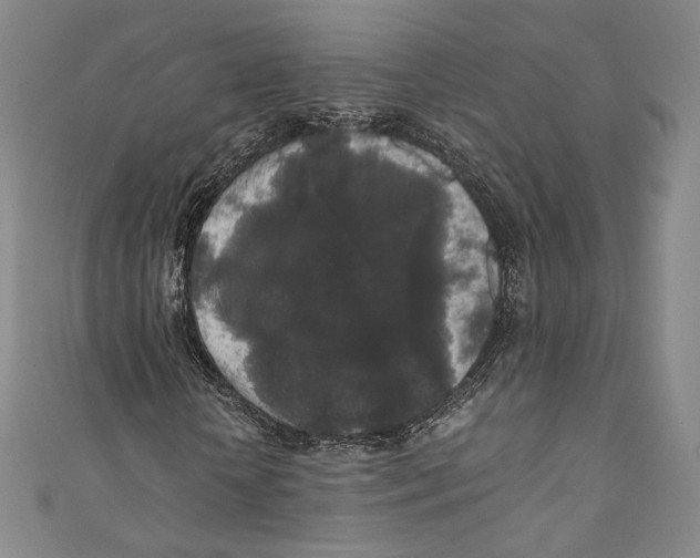 X0000110690818200907101146